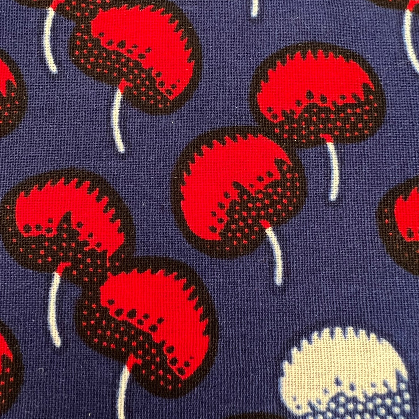 Cloth Napkins
