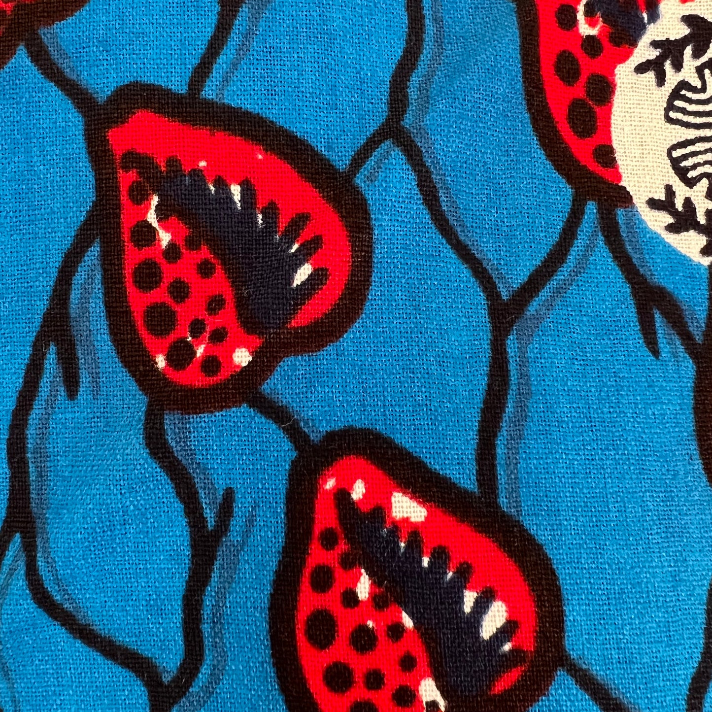 Cloth Napkins