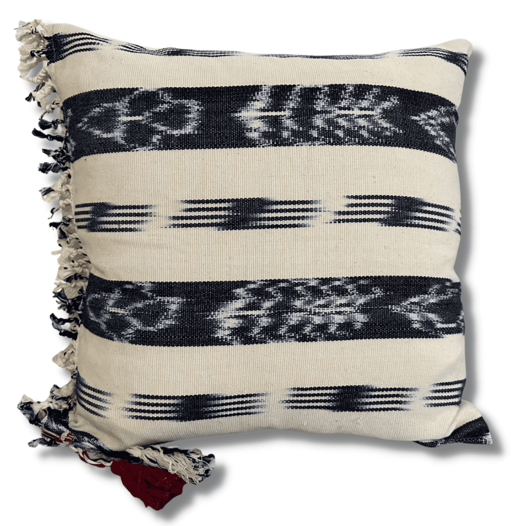 Jaspe Pillow with Fringe - Intertwined