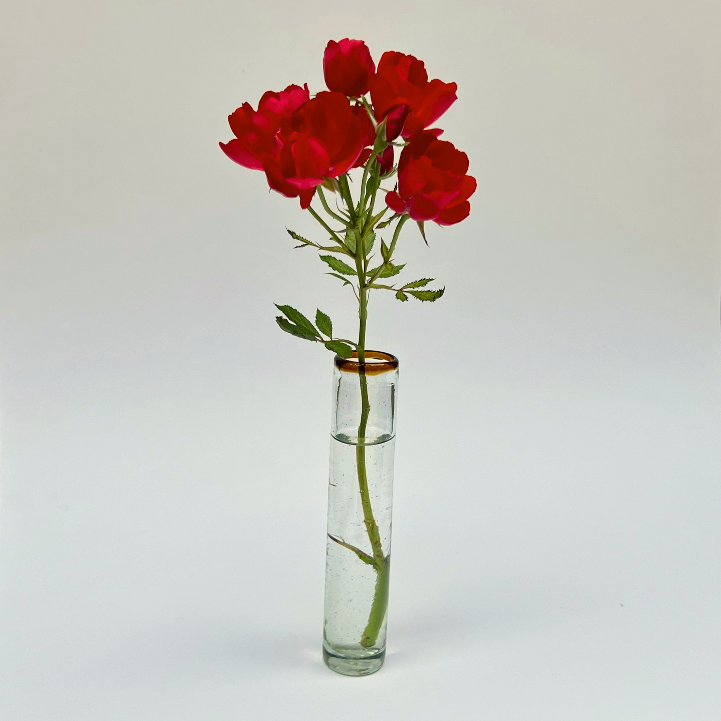 Handblown Tall Glass Vase