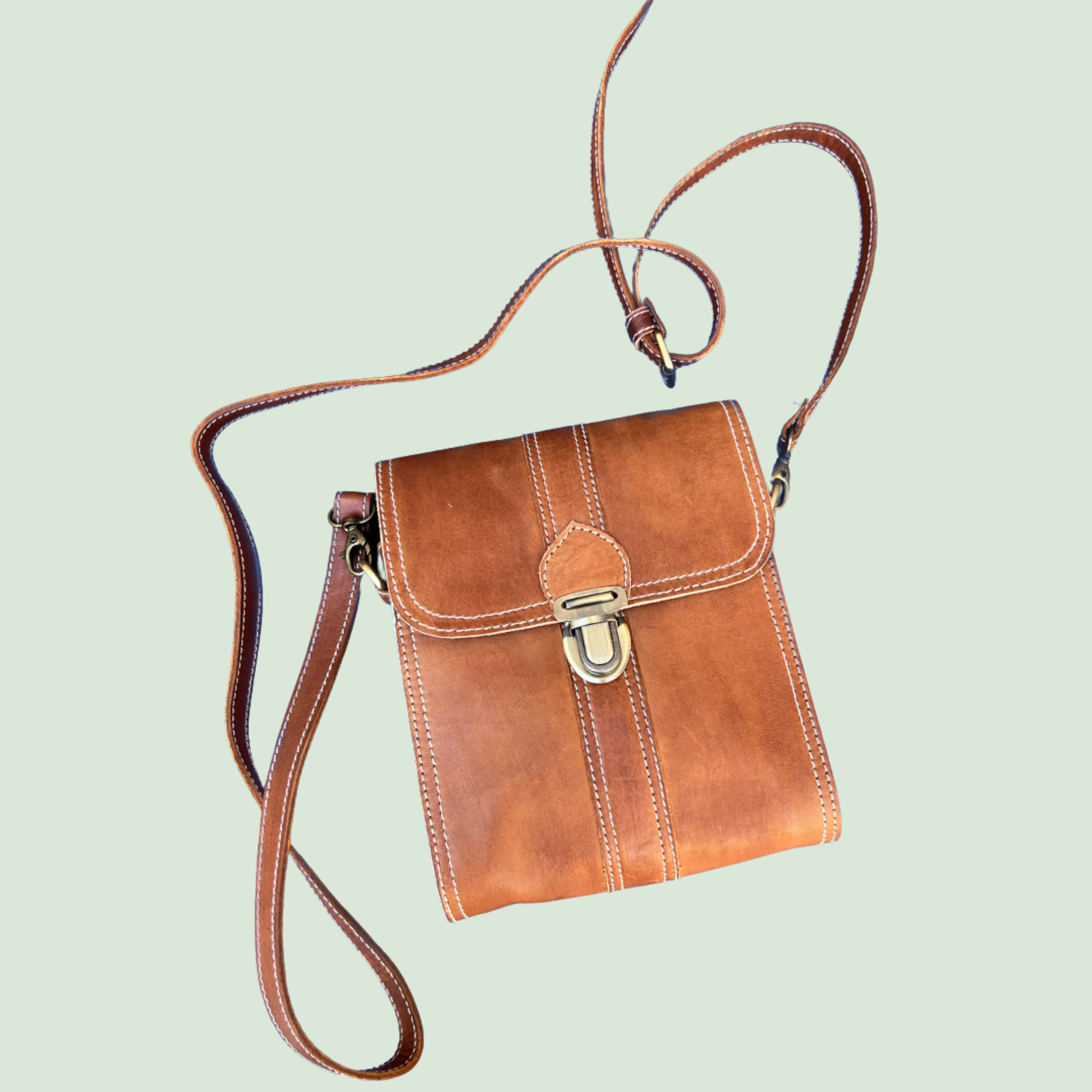 Leather Mini Crossbody (Natural)